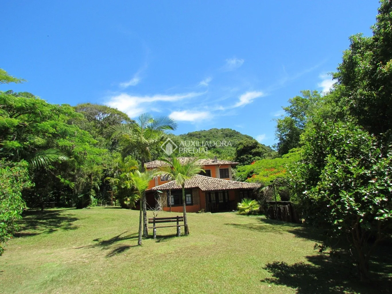 Imóvel - foto 1