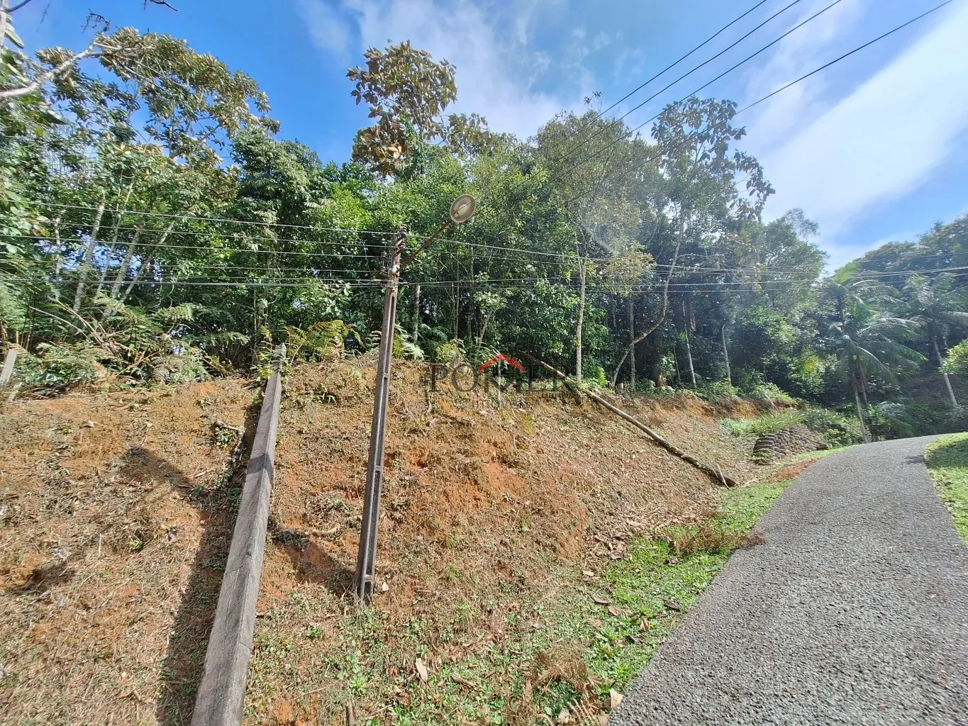 Amplo terreno de 2.500,00m, em Pomerode, bairro Testo Rega, mais alto que a Rua, livre de enchentes e deslizamentos. — foto 2