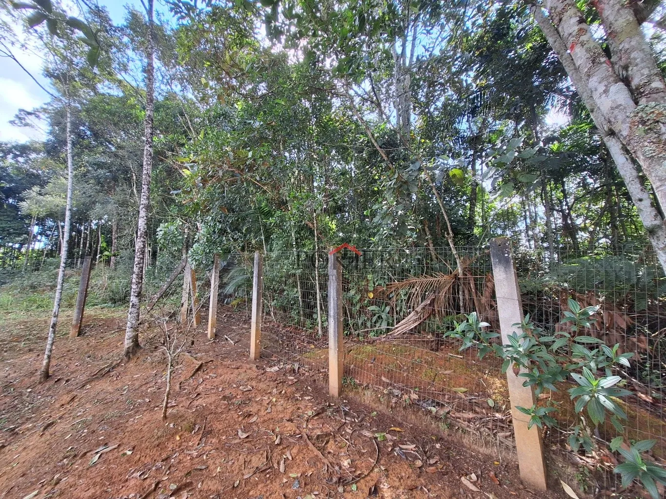 Amplo terreno de 2.500,00m, em Pomerode, bairro Testo Rega, mais alto que a Rua, livre de enchentes e deslizamentos. — foto 4