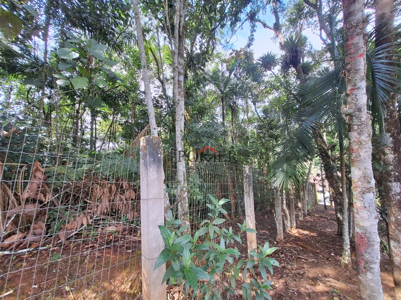 Amplo terreno de 2.500,00m, em Pomerode, bairro Testo Rega, mais alto que a Rua, livre de enchentes e deslizamentos. — foto 5