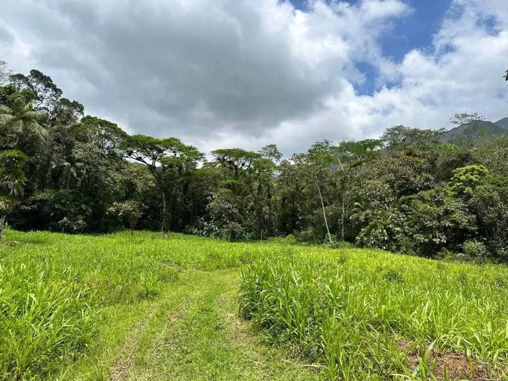 TERRENO no VILA NOVA com 0 quartos para VENDA, 251600 m - foto 1