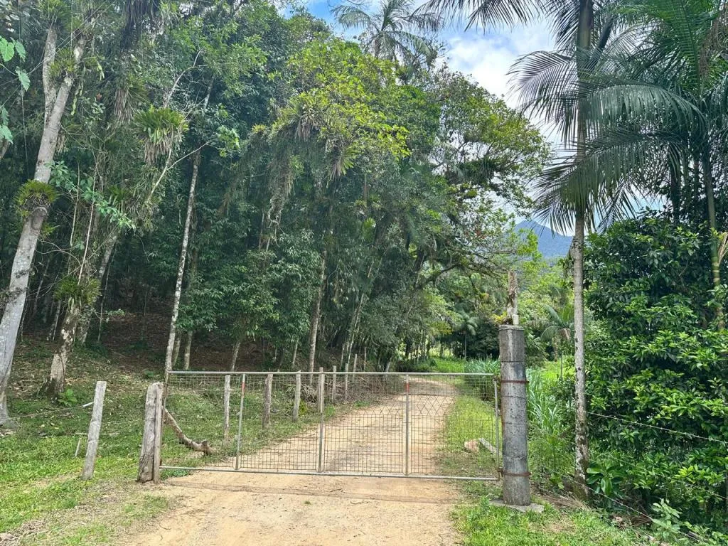 TERRENO no VILA NOVA com 0 quartos para VENDA, 251600 m — foto 3