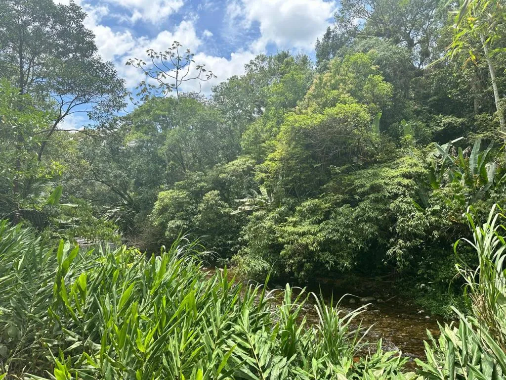 TERRENO no VILA NOVA com 0 quartos para VENDA, 251600 m — foto 4