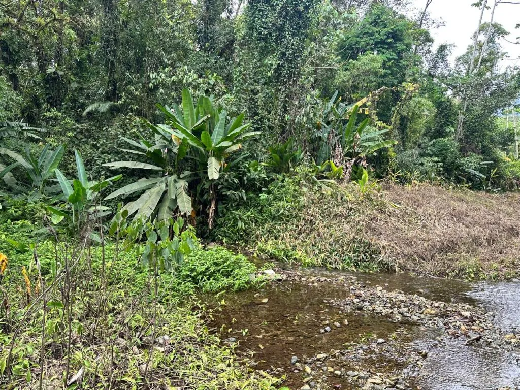 TERRENO no VILA NOVA com 0 quartos para VENDA, 251600 m — foto 5