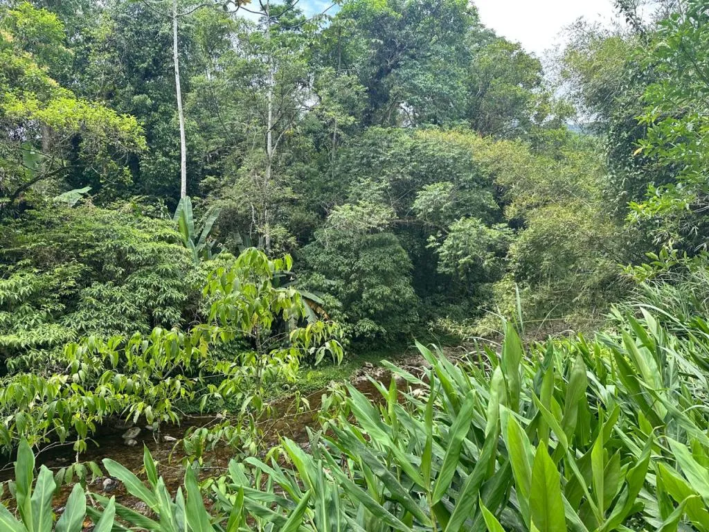 TERRENO no VILA NOVA com 0 quartos para VENDA, 251600 m — foto 6