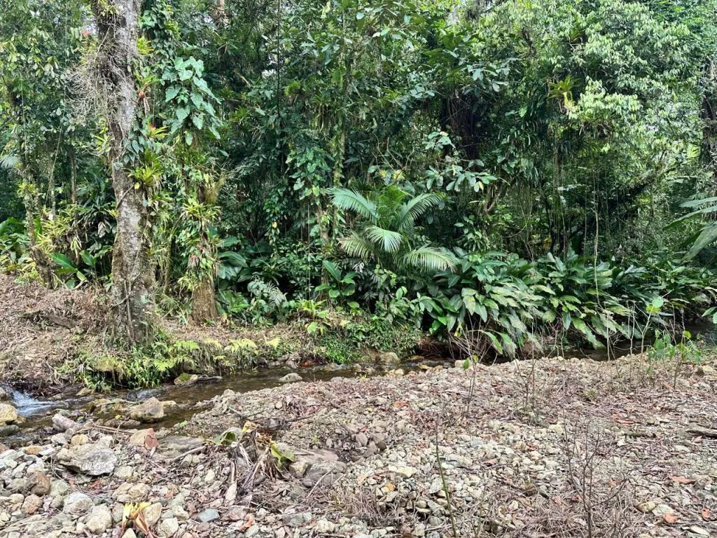 TERRENO no VILA NOVA com 0 quartos para VENDA, 251600 m — foto 7