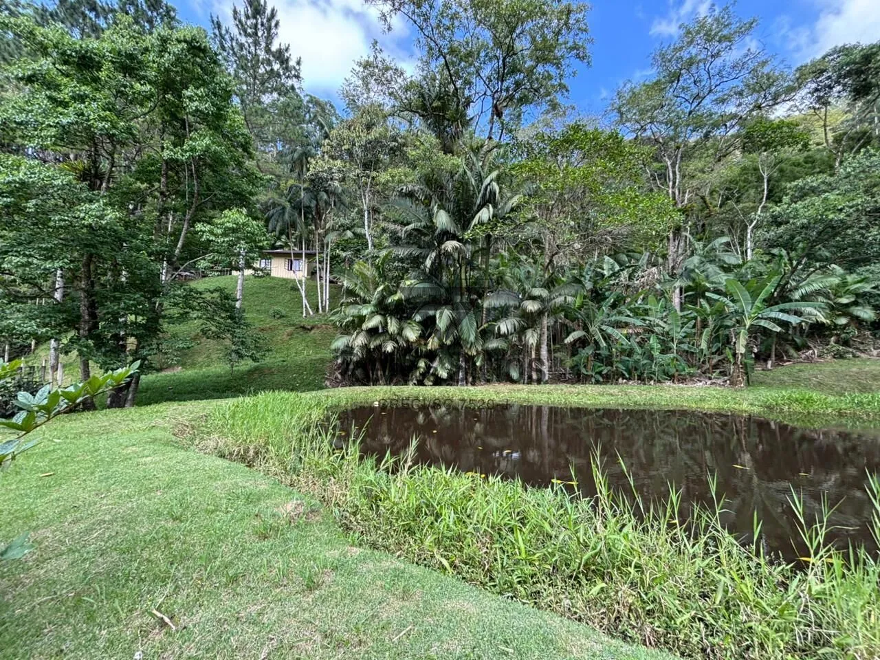 Sítio à venda no bairro Consulte - Ibirama/SC - foto 1