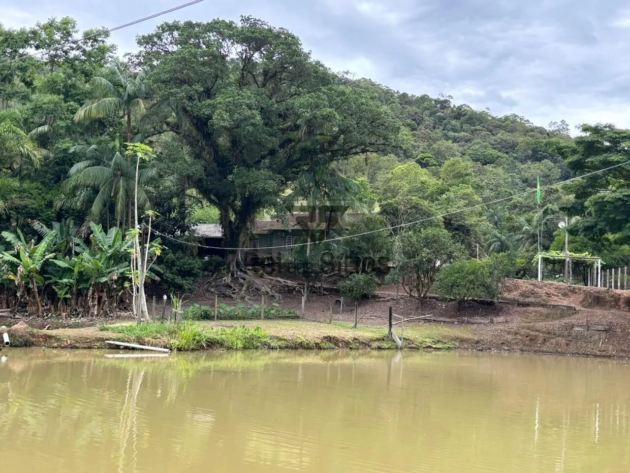 Sítio à venda no bairro Consulte - Ascurra/SC - foto 1