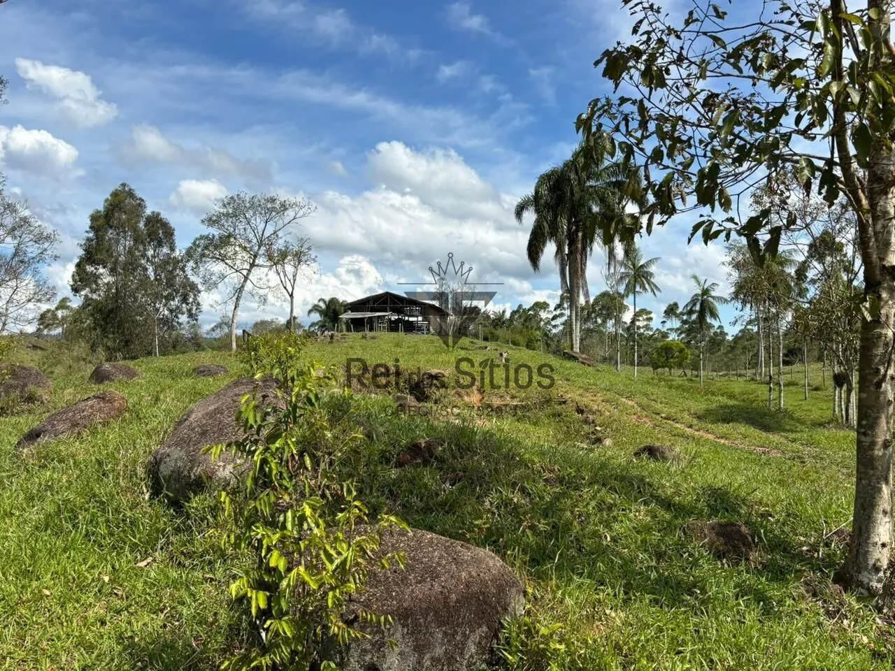 Sítio à venda no bairro Consulte - Lontras/SC - foto 1
