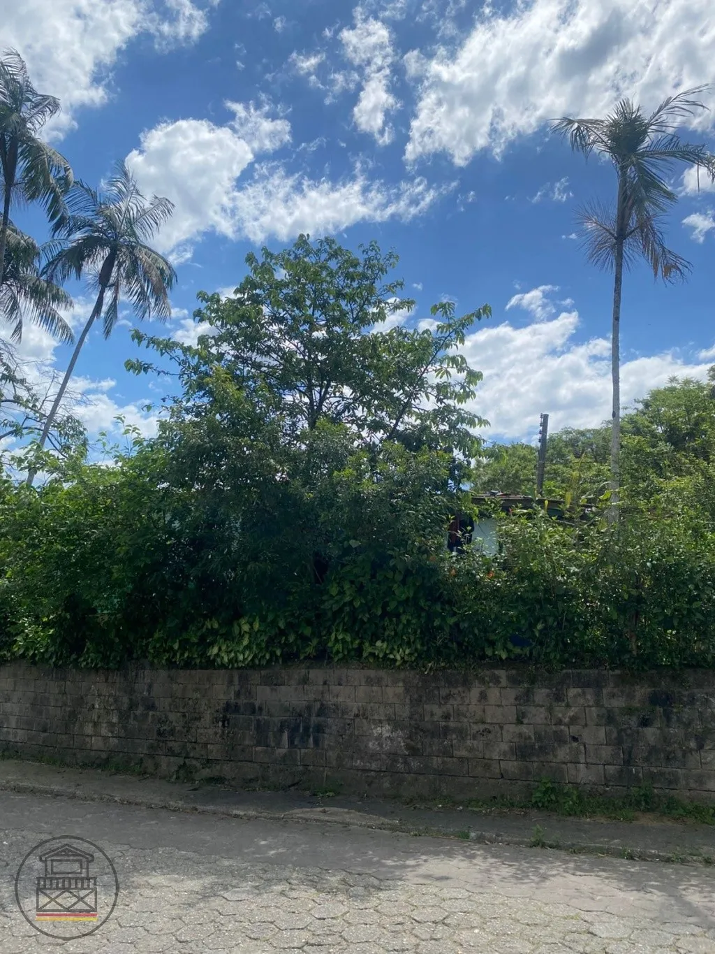 Excelente terreno para construir em Blumenau — foto 2