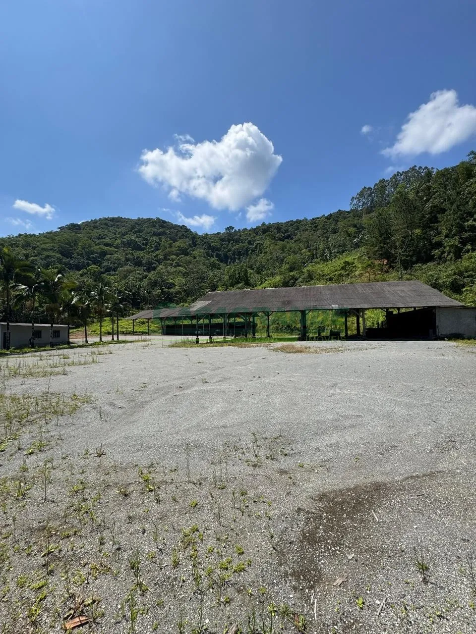 Terreno com galpão na Velha Central! — foto 7