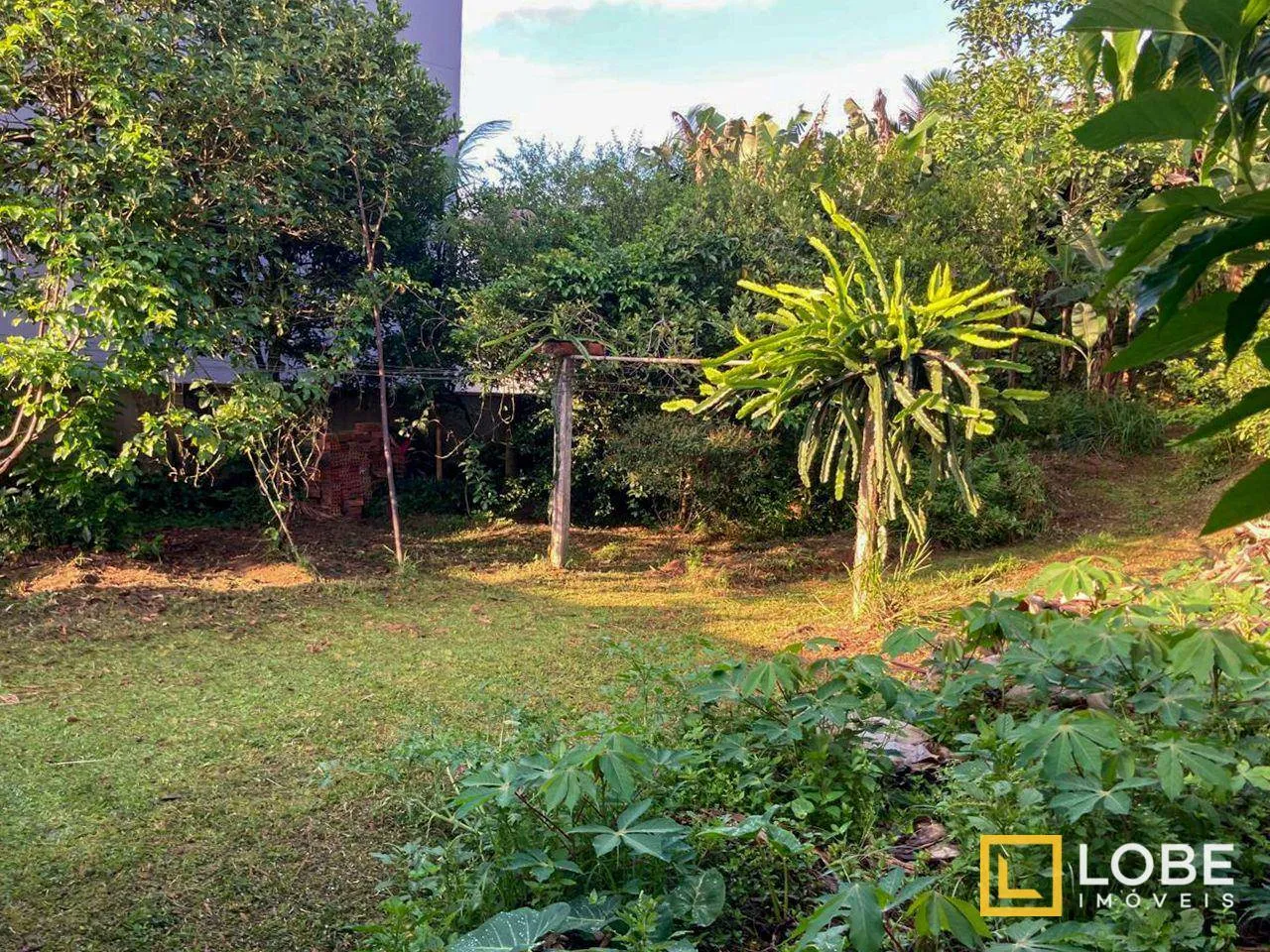 Terreno em corredor de serviço à venda, 670 m por R$ 695.000 - Velha Central - Blumenau/SC — foto 6