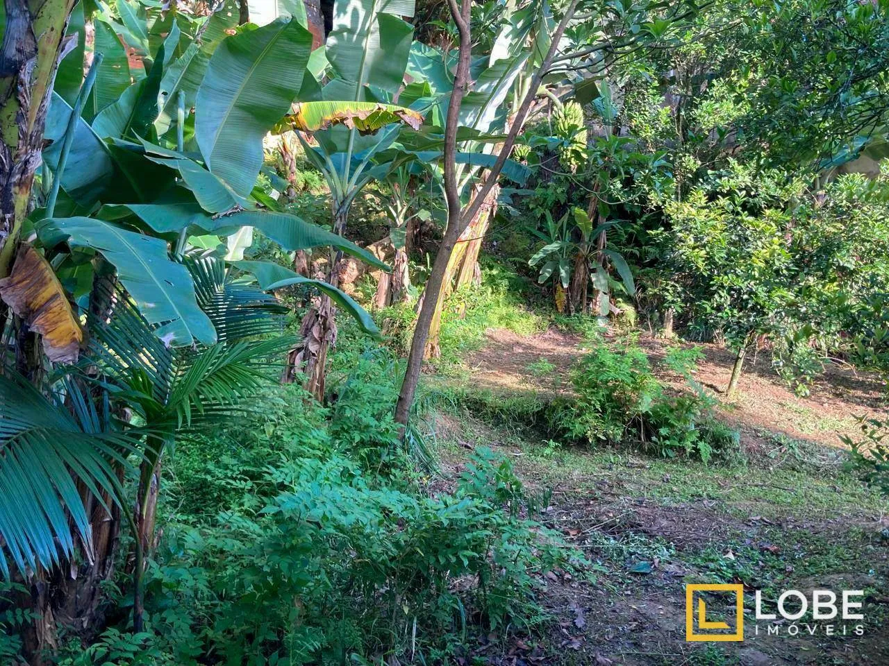 Terreno em corredor de serviço à venda, 670 m por R$ 695.000 - Velha Central - Blumenau/SC — foto 7