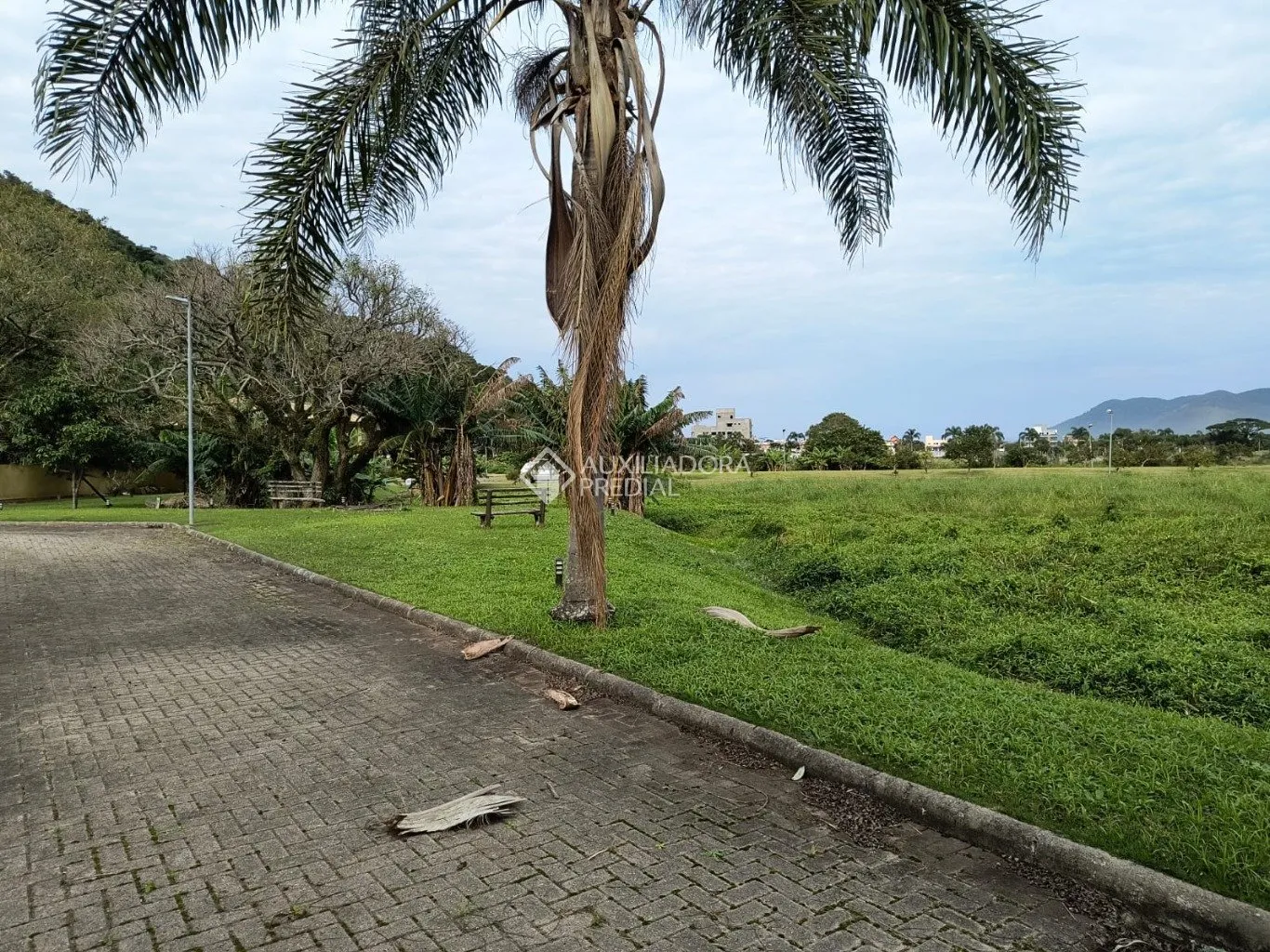 Imóvel — foto 4