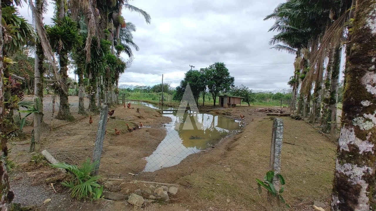 Chácara com 32.210m à venda no bairro Garuva em Garuva-SC por R$1.490.000,00. — foto 3