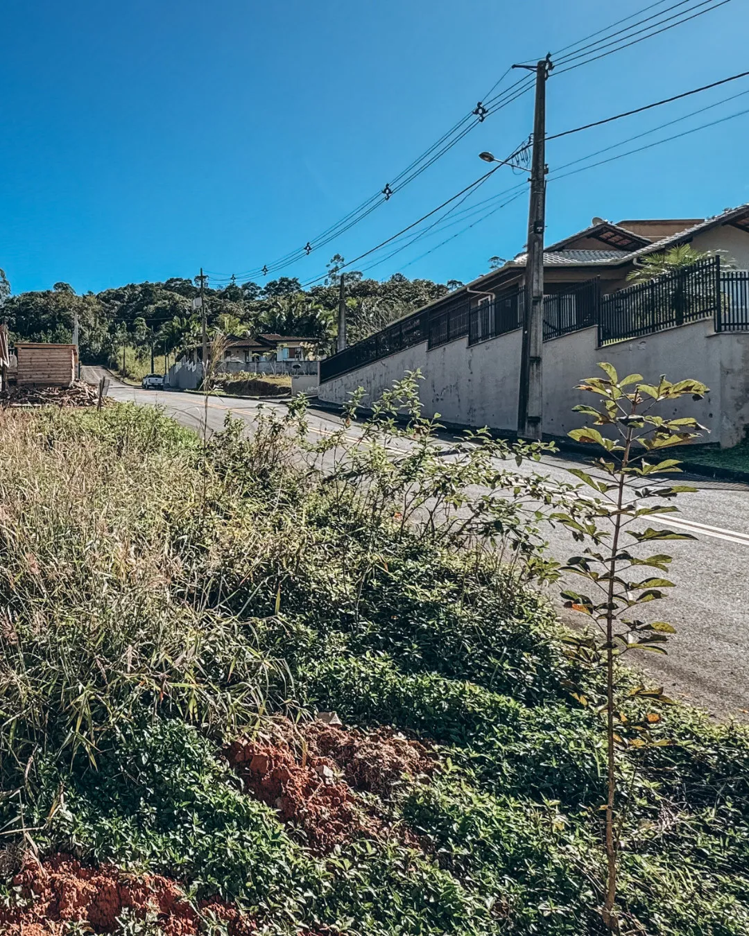 Terreno no Ribeirão Areia em Rua sem Saída — foto 5