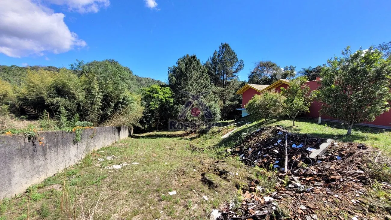 TERRENO + SALA COMERCIAL — foto 3
