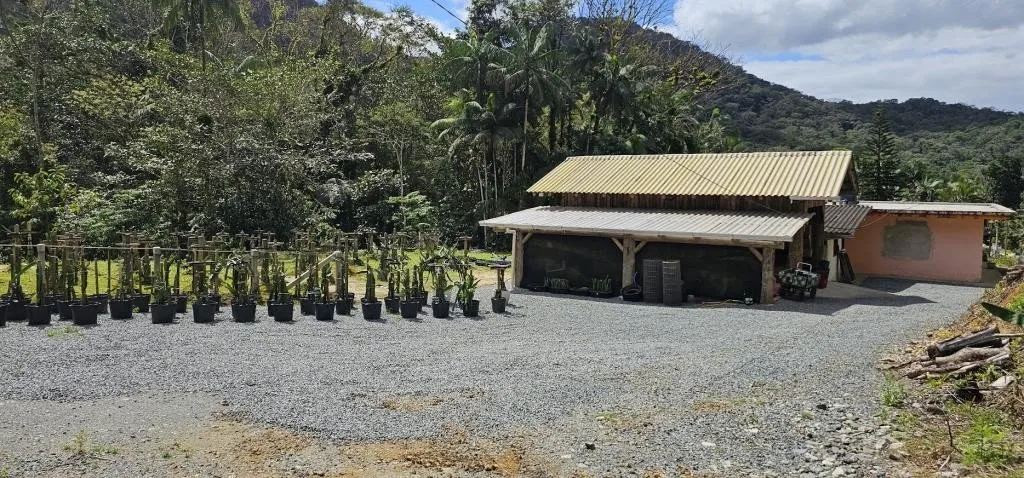 SÍTIO no VILA NOVA com 4 quartos para VENDA, 220 m — foto 7