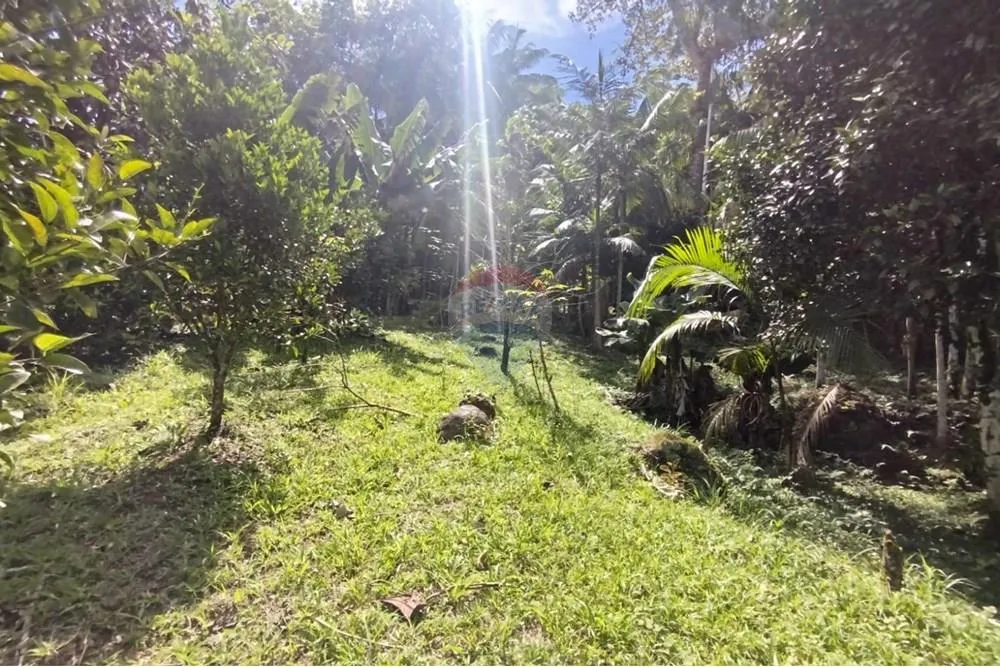 Sítio em Rodeio/SC - 30.000m — foto 3