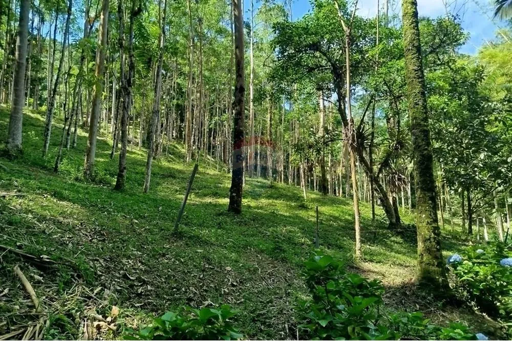 Sítio em Rodeio/SC - 30.000m — foto 7