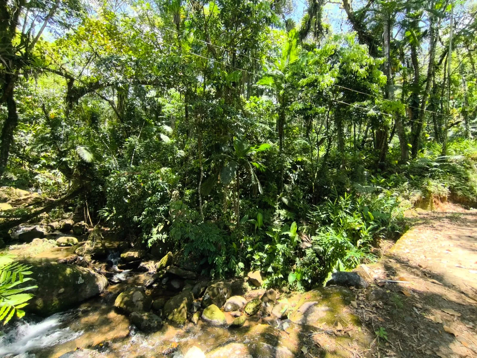 VENDO TERRENO - foto 1