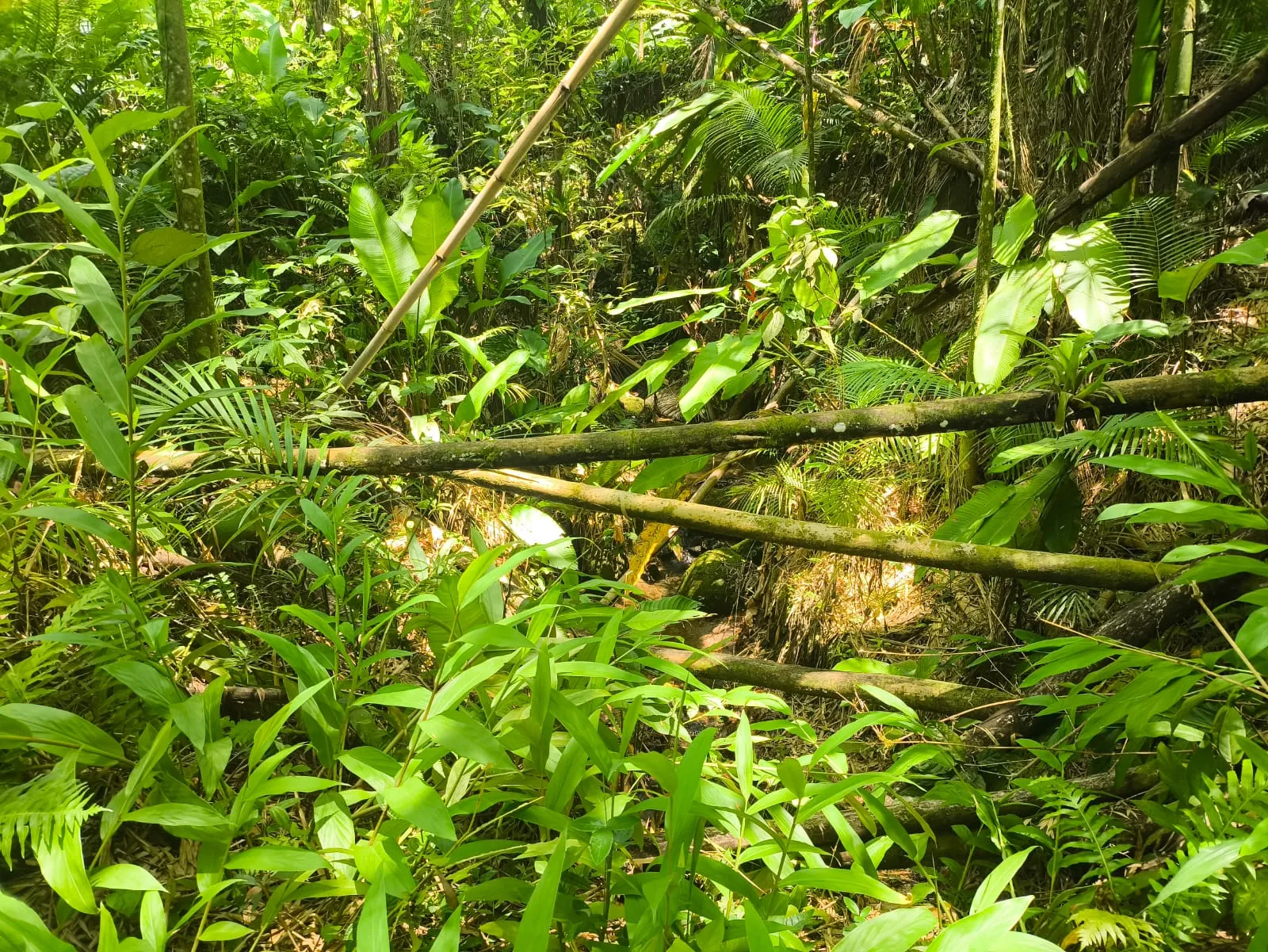 VENDO TERRENO — foto 2