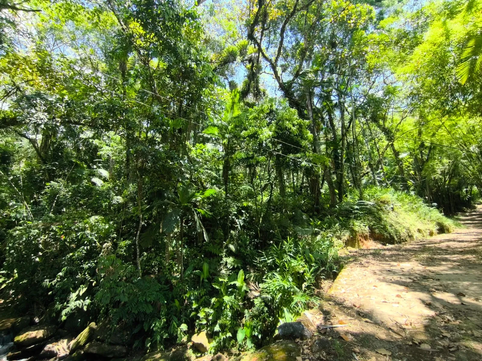 VENDO TERRENO — foto 4