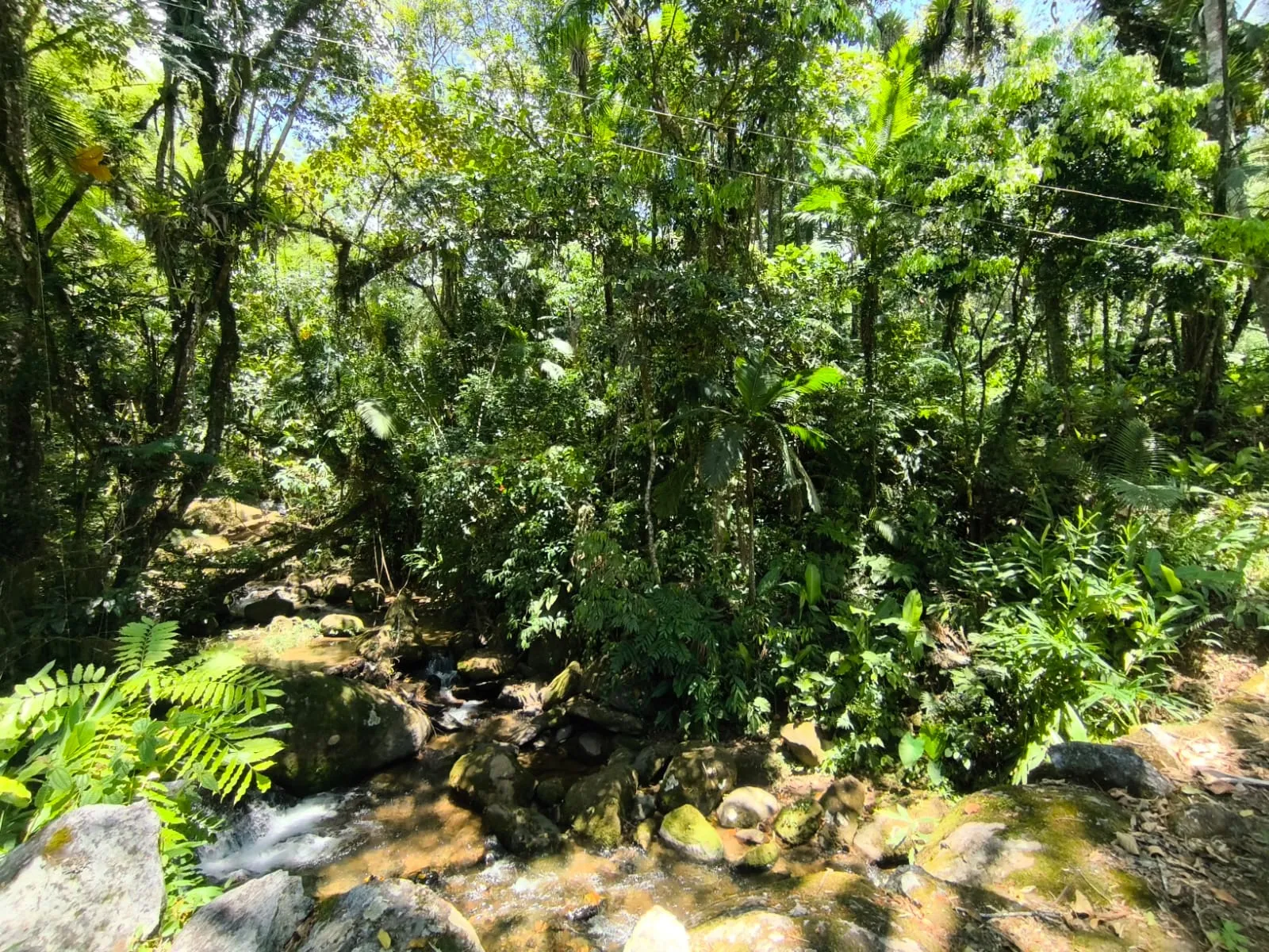 VENDO TERRENO — foto 5