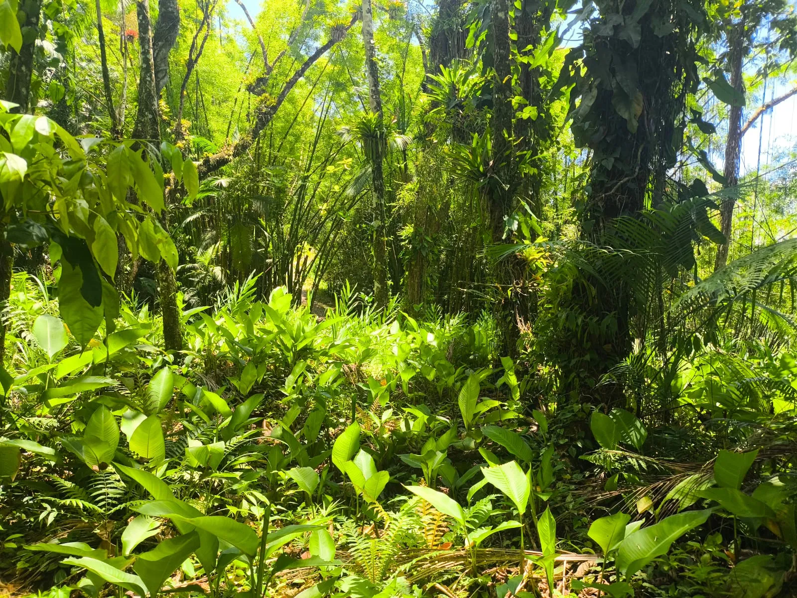 VENDO TERRENO — foto 7