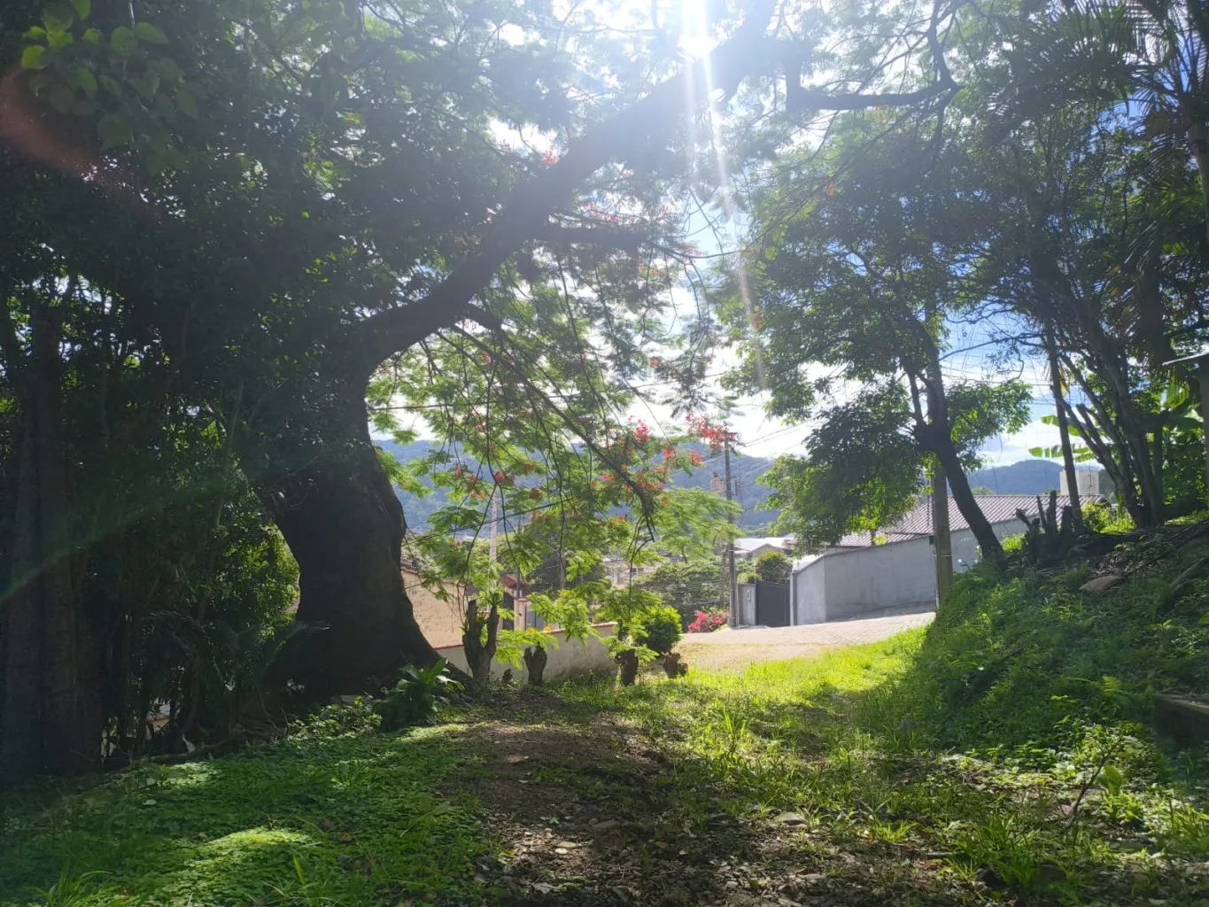 Casa de Alvenaria semi-acabada — foto 3