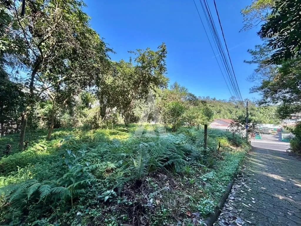 Terreno com 2124,6m à venda no bairro Floresta em Joinville-SC por R$1.800.000,00. — foto 2