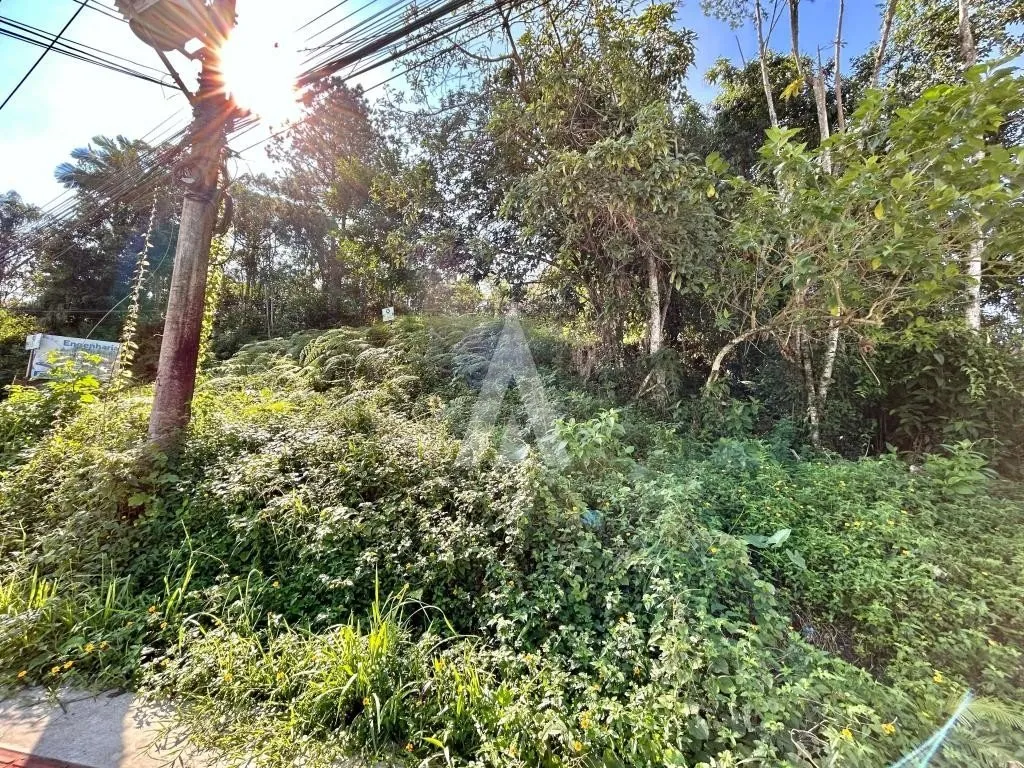 Terreno com 2124,6m à venda no bairro Floresta em Joinville-SC por R$1.800.000,00. — foto 3