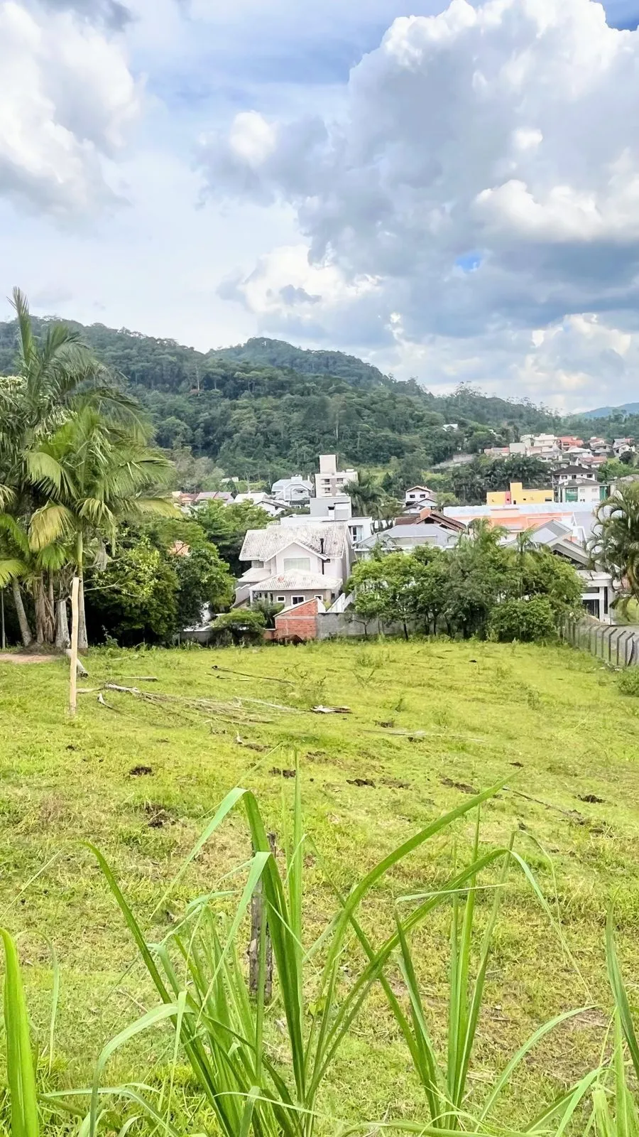Terreno com 1260 m - Estados Indaial — foto 6