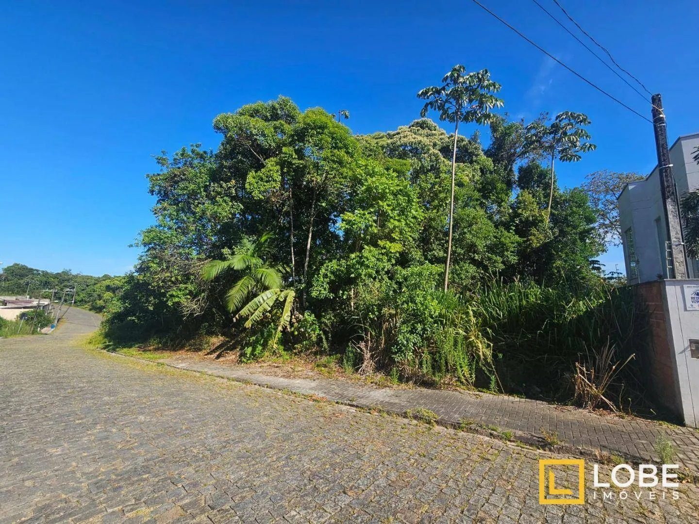 Terreno à venda, 810 m - Ponta Aguda - Blumenau/SC - foto 1