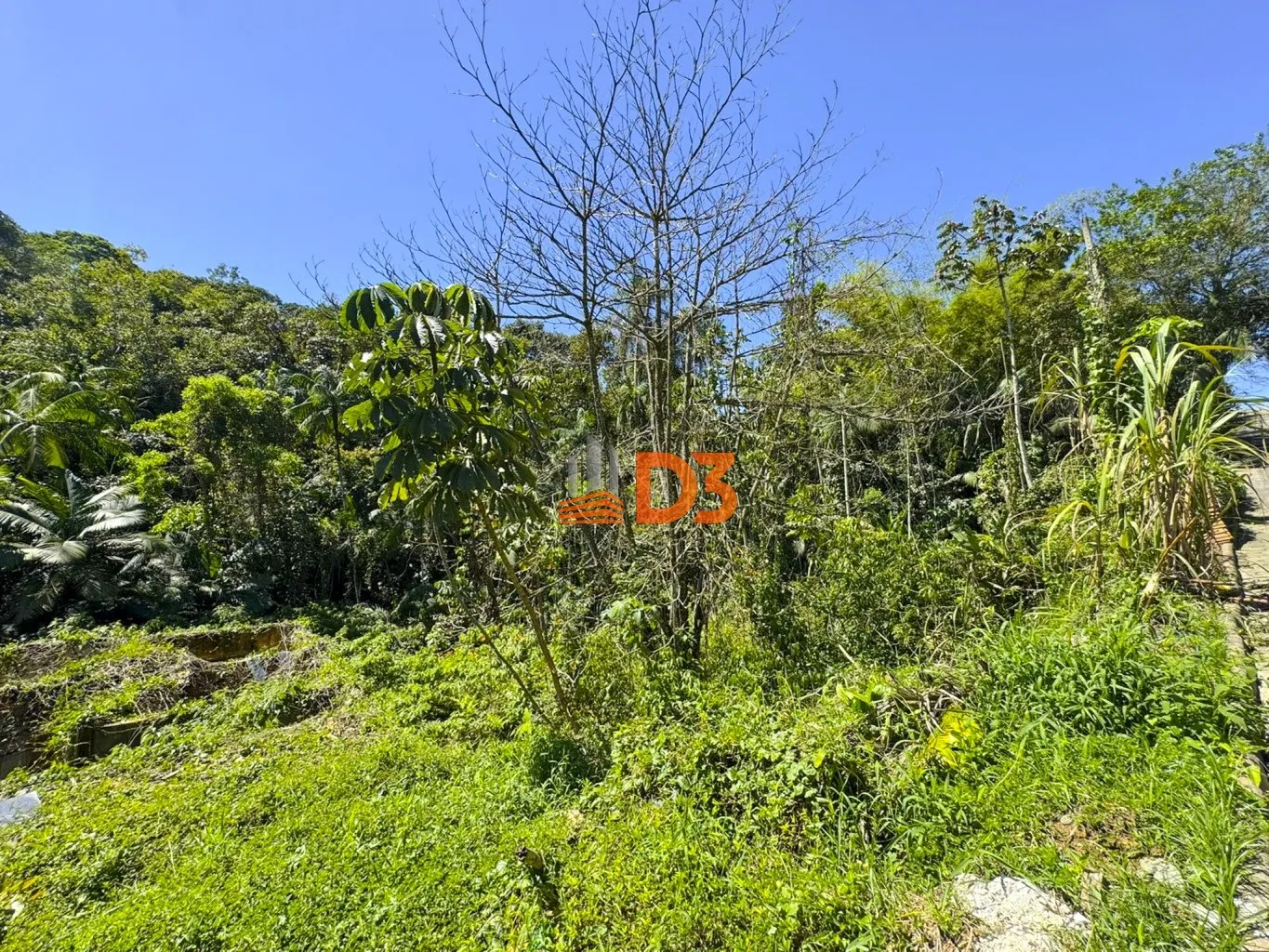 Lote / Terreno na Itoupava Central — foto 3