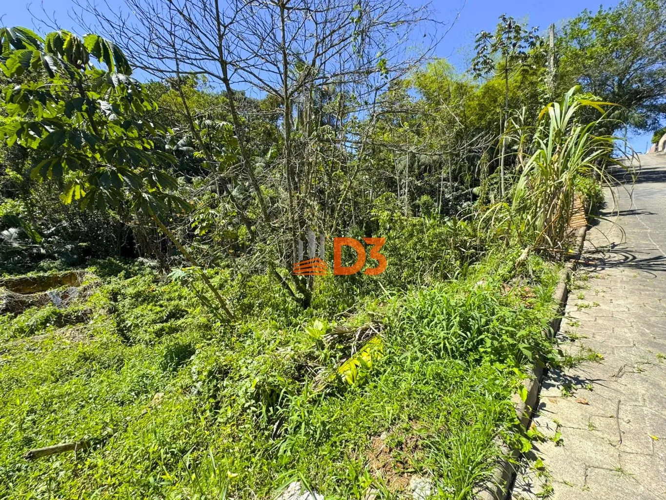 Lote / Terreno na Itoupava Central — foto 4