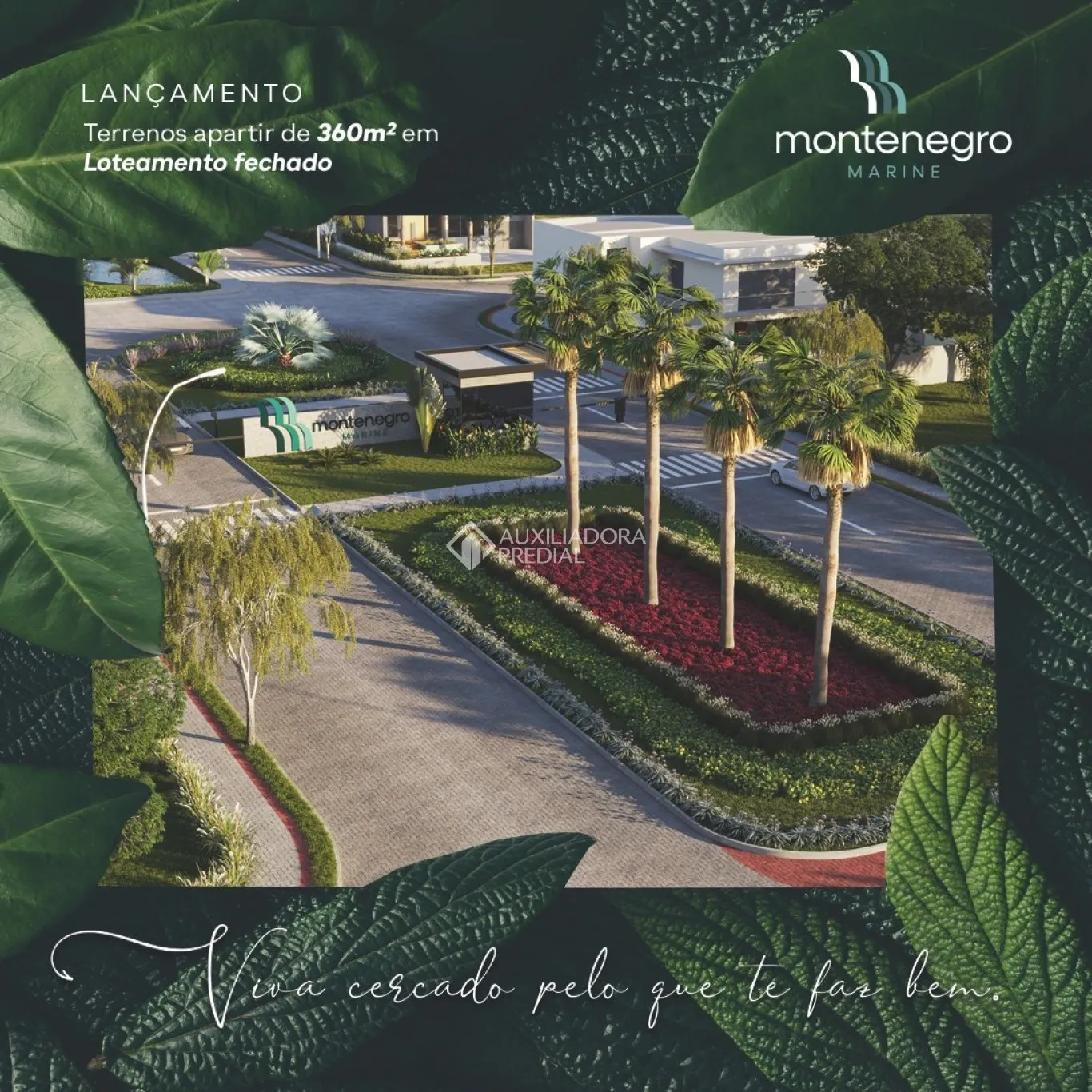 Imóvel — foto 5