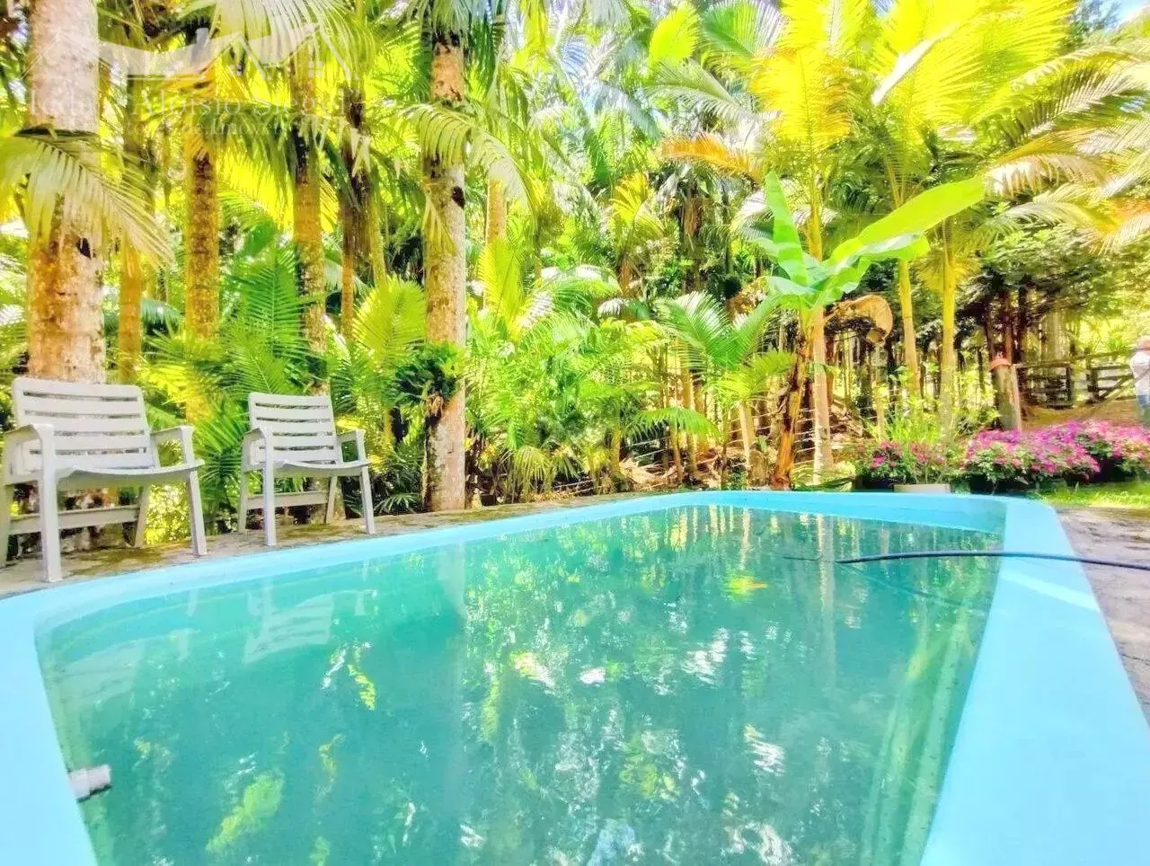 Sitio/ Terreno com 319.000 m- Progresso - Blumenau/SC Ref. 1589 — foto 6