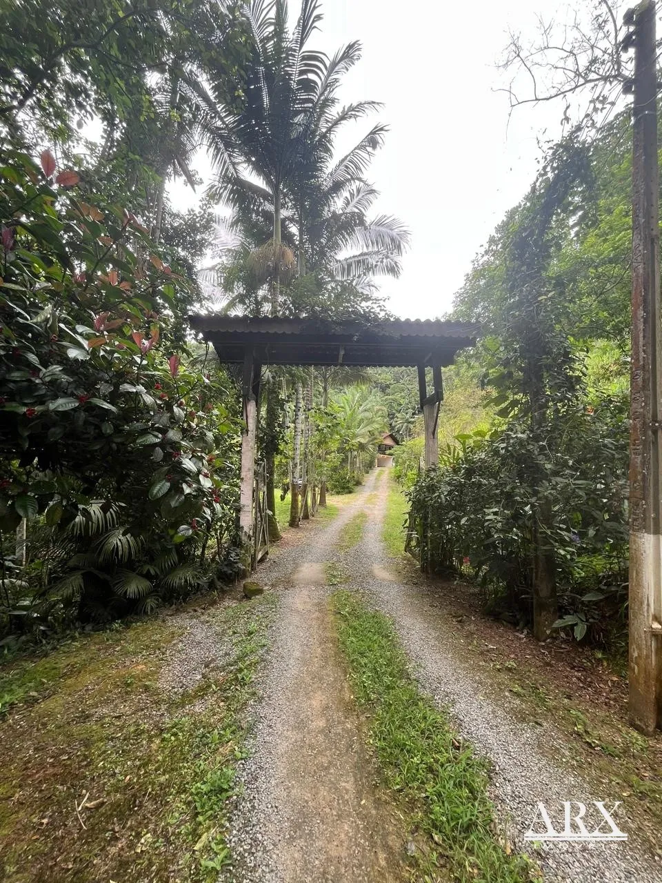 Sítio à Venda - Natureza, Tranquilidade e Fácil Acesso - foto 1