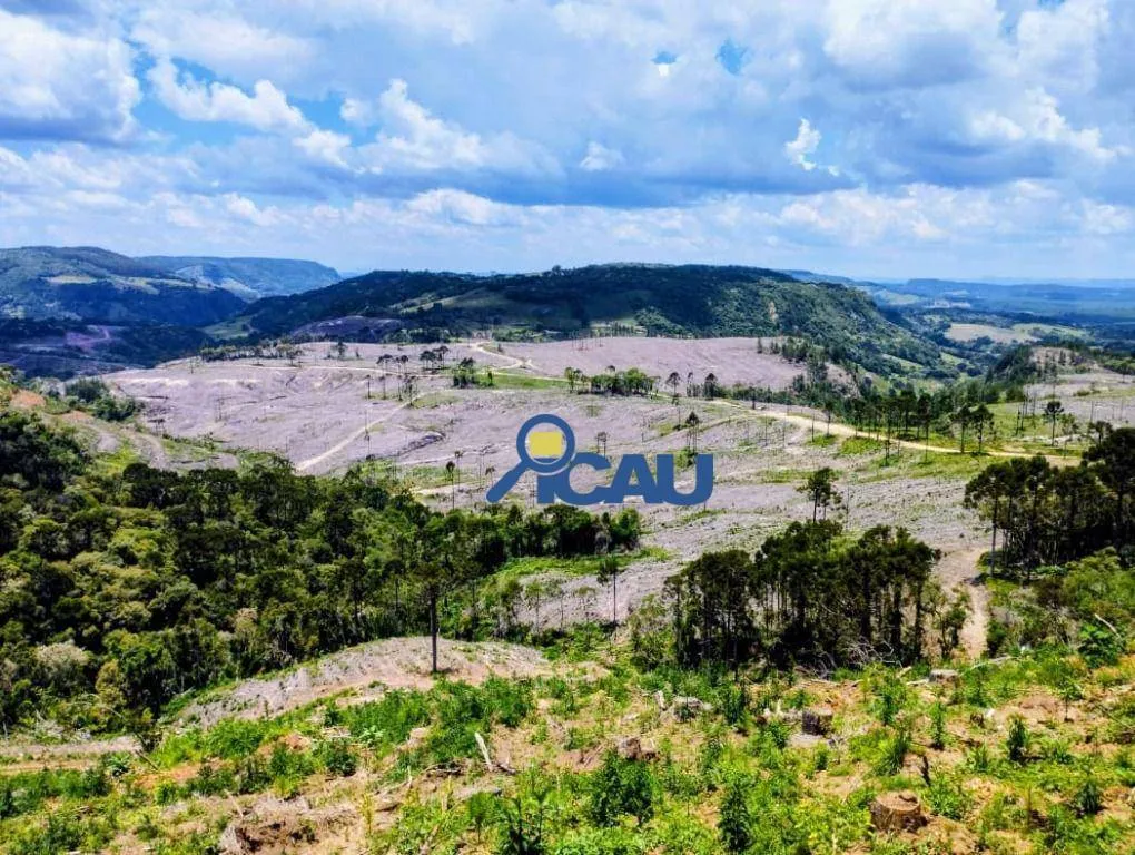 Fazenda em Ponte Alta SC, reflorestada e com excelente potencial - foto 1