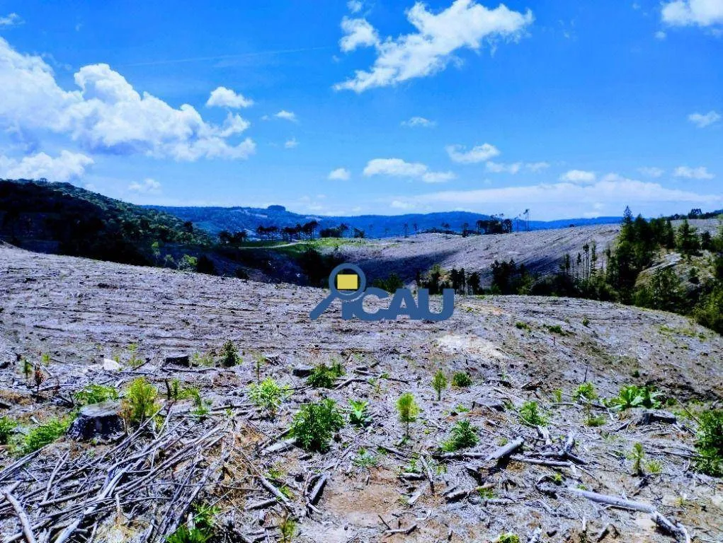 Fazenda em Ponte Alta SC, reflorestada e com excelente potencial — foto 3