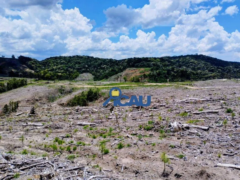 Fazenda em Ponte Alta SC, reflorestada e com excelente potencial — foto 4