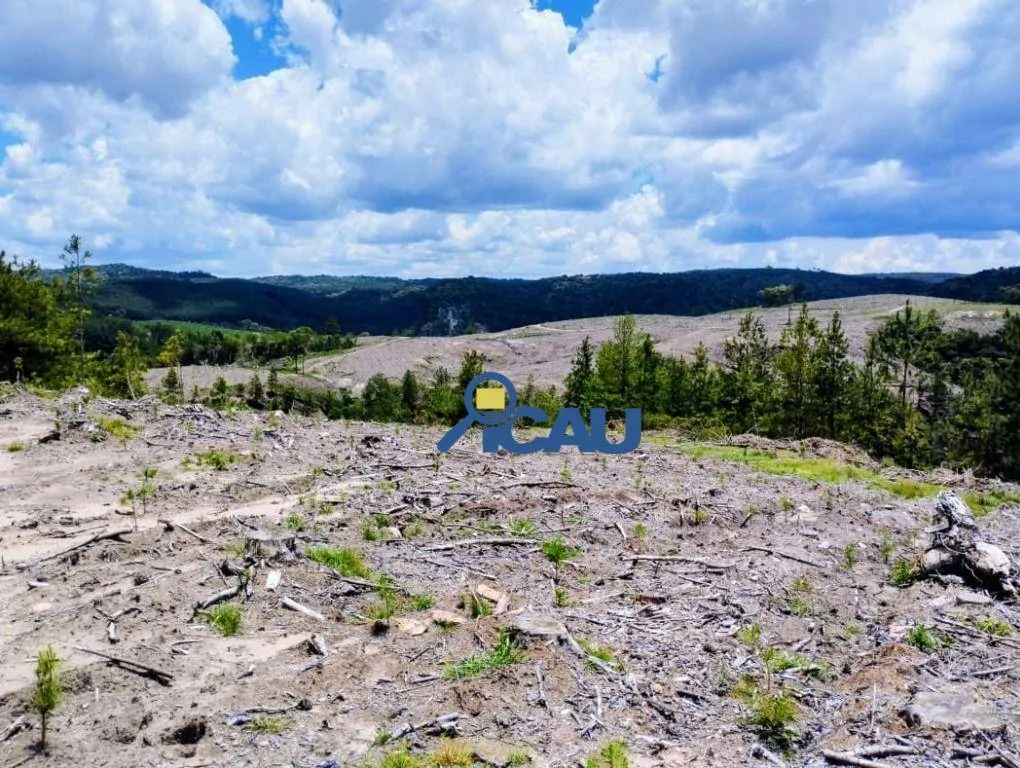 Fazenda em Ponte Alta SC, reflorestada e com excelente potencial — foto 5