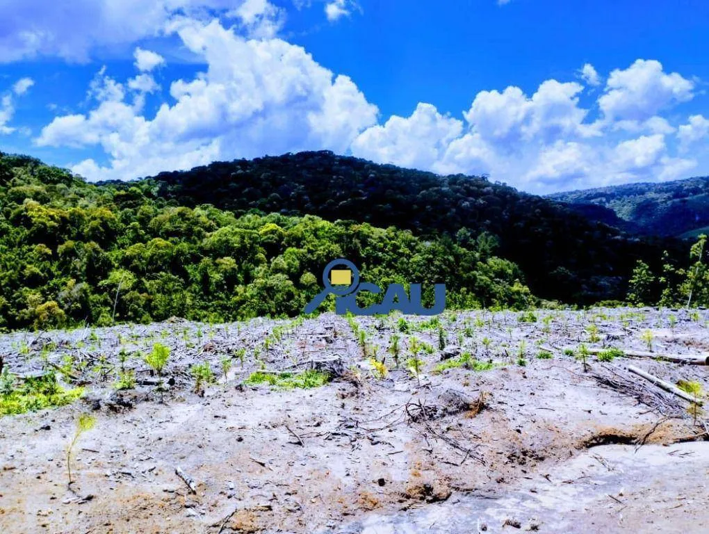 Fazenda em Ponte Alta SC, reflorestada e com excelente potencial — foto 6