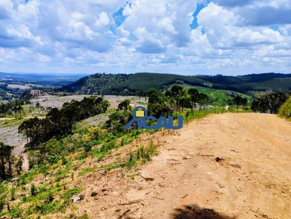 Fazenda em Ponte Alta SC, reflorestada e com excelente potencial — foto 7