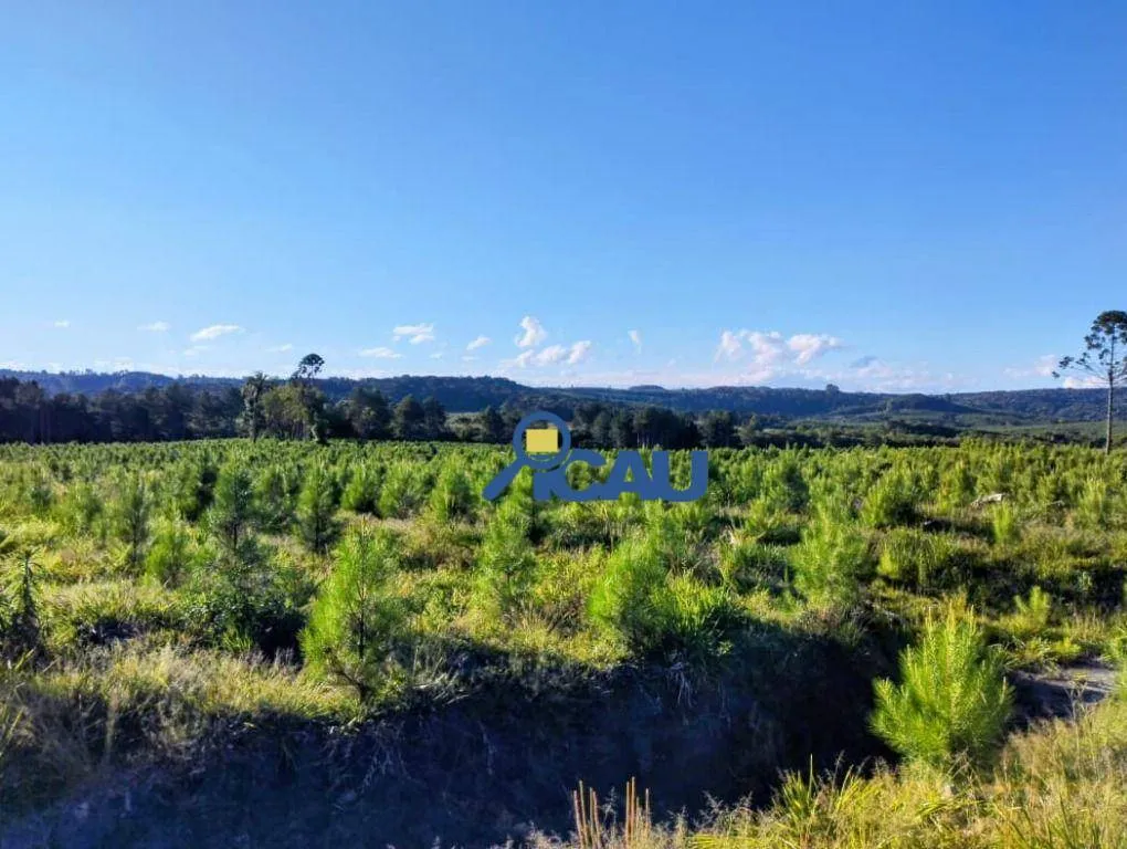 Fazenda Ponte Alta SC com reflorestamento e georeeferenciada — foto 2