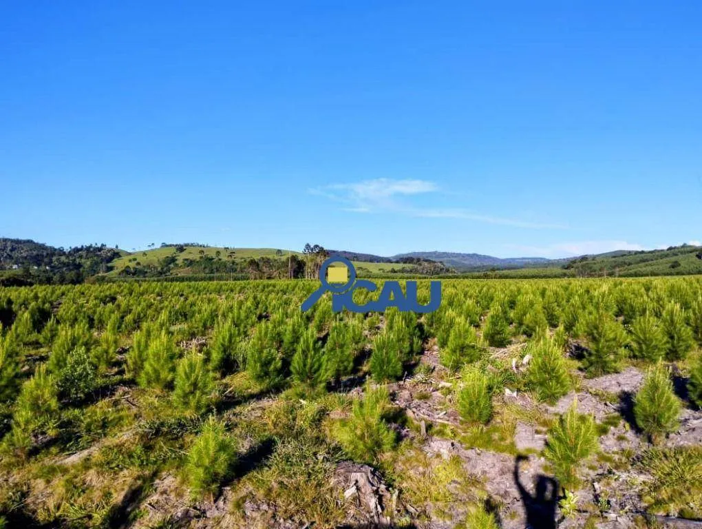 Fazenda Ponte Alta SC com reflorestamento e georeeferenciada — foto 3