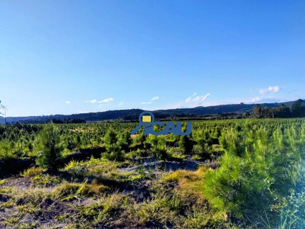 Fazenda Ponte Alta SC com reflorestamento e georeeferenciada — foto 4