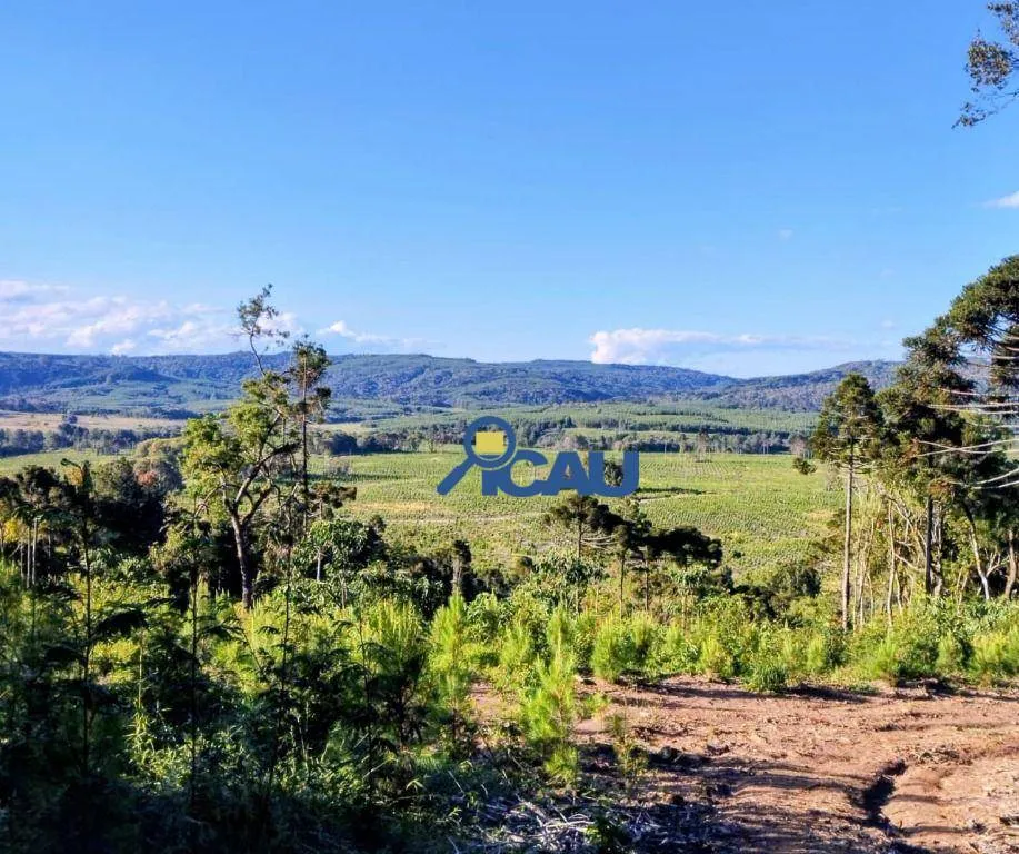 Fazenda Ponte Alta SC com reflorestamento e georeeferenciada — foto 5