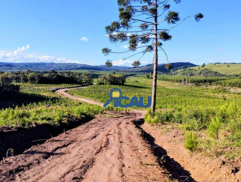 Fazenda Ponte Alta SC com reflorestamento e georeeferenciada — foto 6